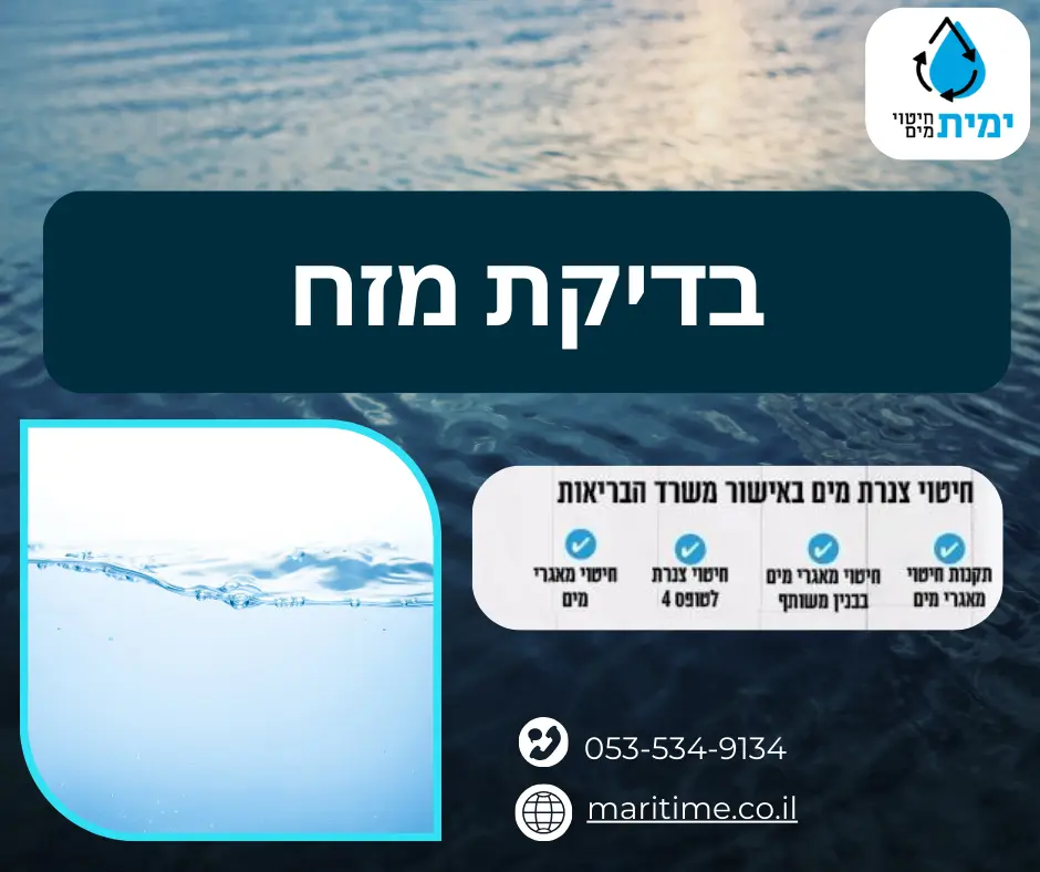 בדיקת מזח